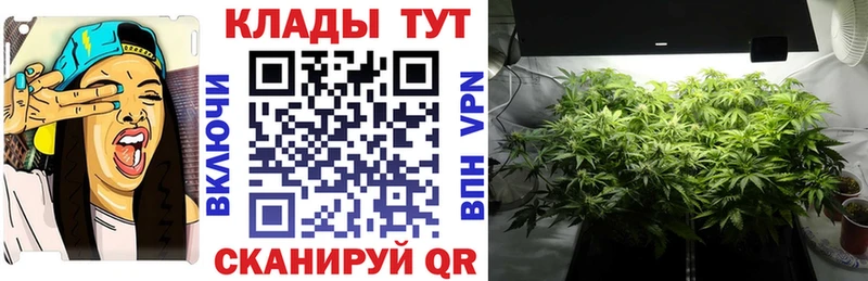 Виды наркоты Тверь Кокаин АМФ СОЛЬ Канабис Мефедрон