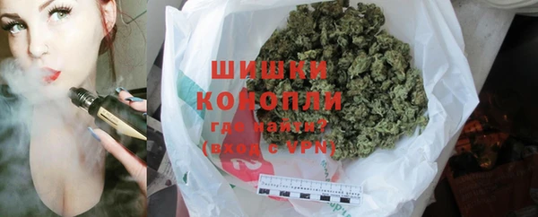 spice Богородск