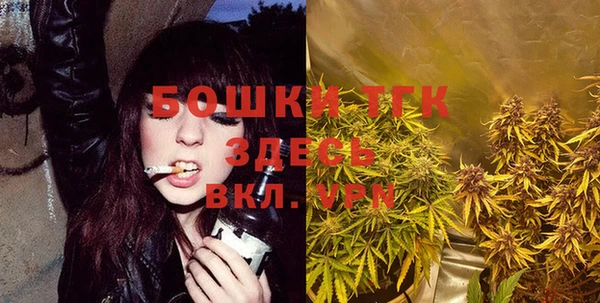 бошки Богородицк