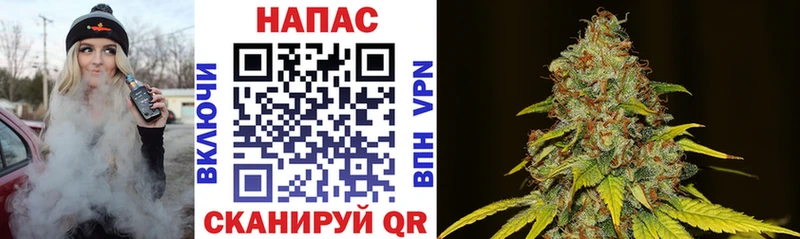 кракен tor  купить наркотики сайты  Тверь  Бошки марихуана THC 21% 